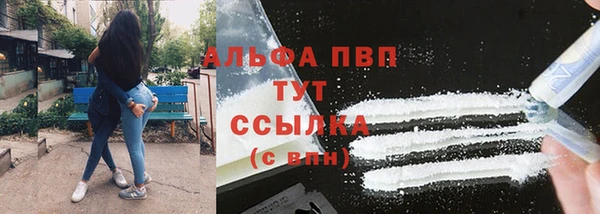 тгк Зеленокумск