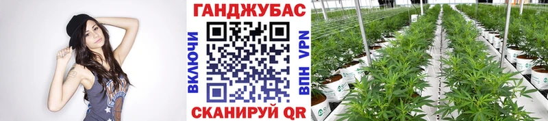 Купить где  Видное  Шишки марихуана SATIVA & INDICA 